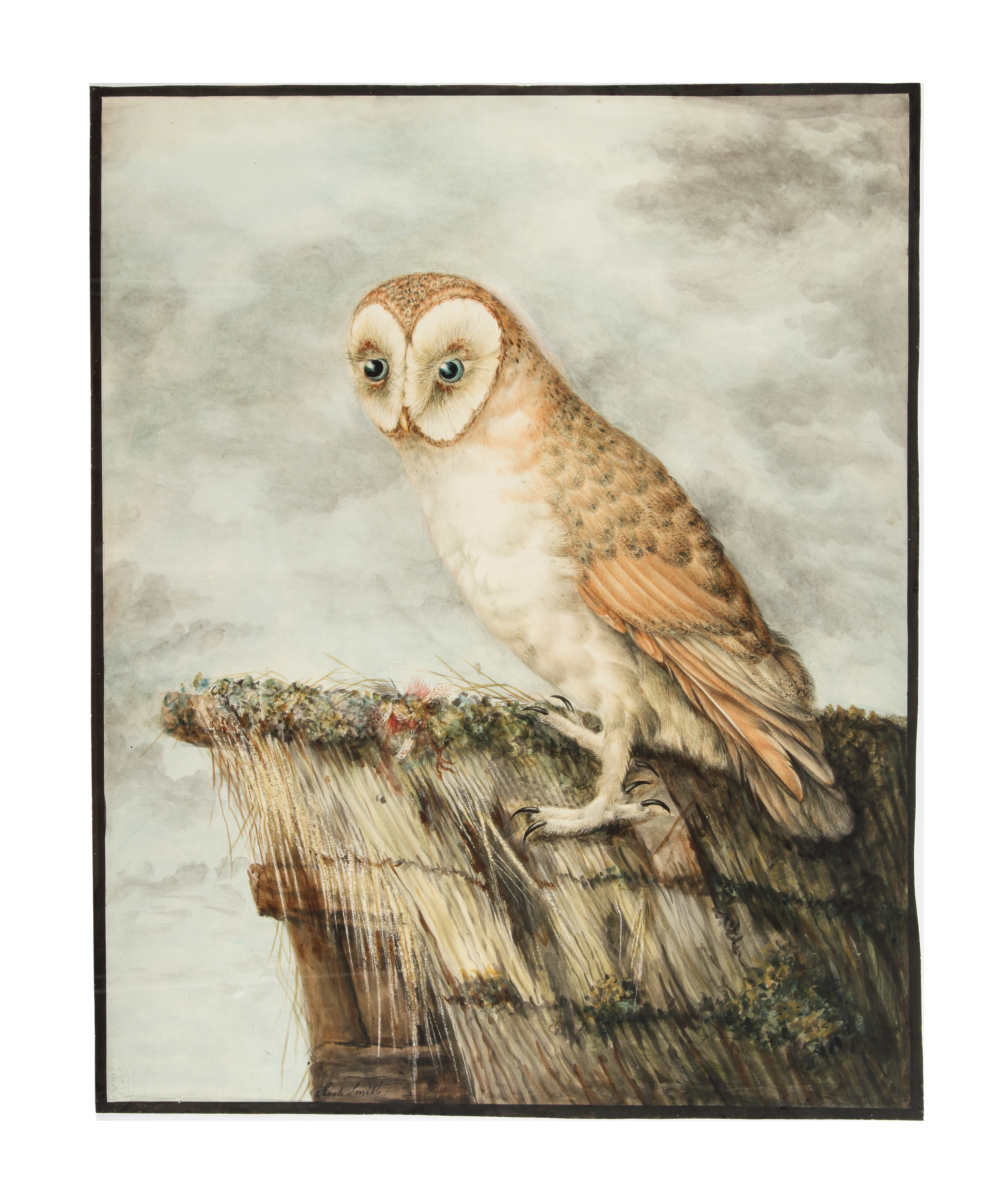 Sarah Stone (1760 - 1844)